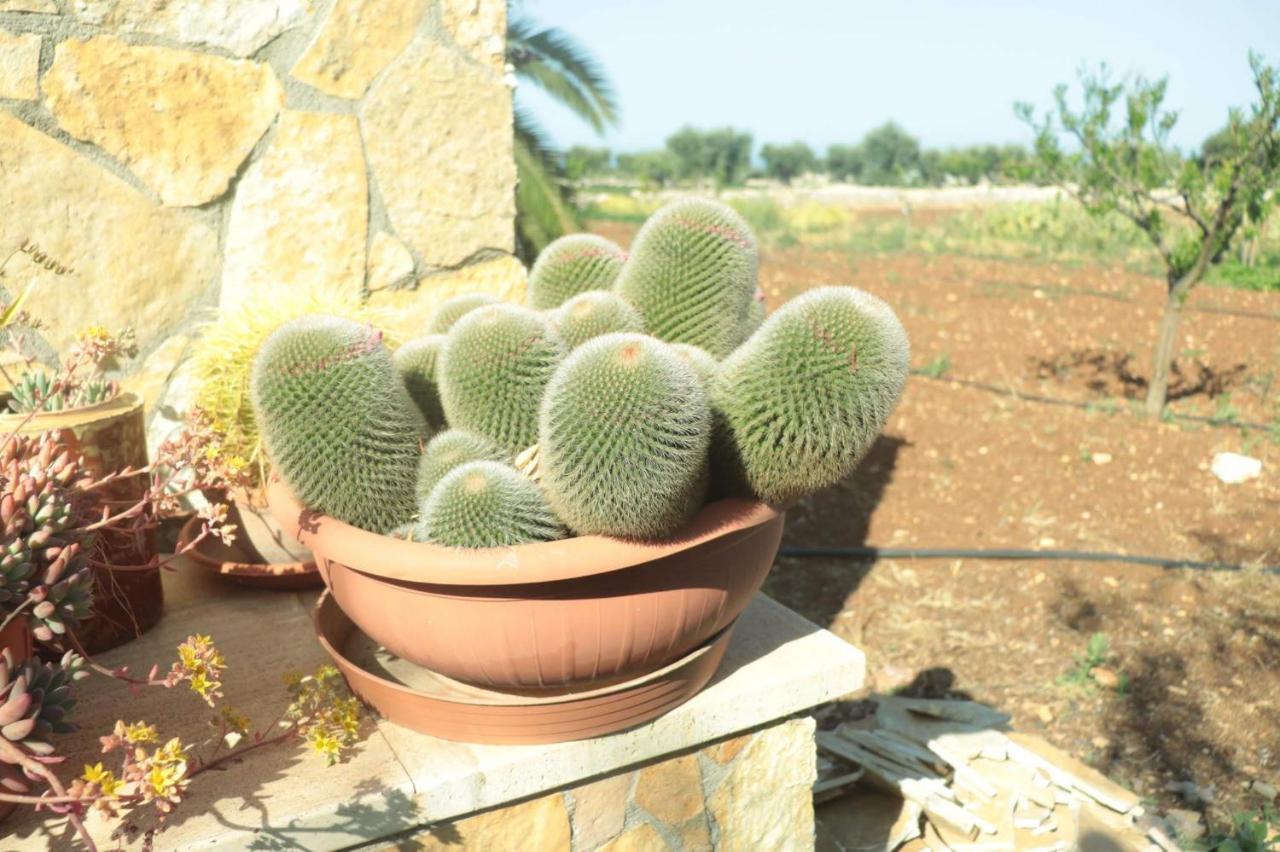 פולינאנו א מארה Villa Rosalba מראה חיצוני תמונה