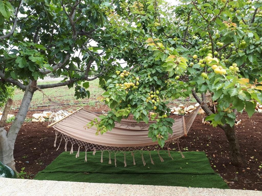 פולינאנו א מארה Villa Rosalba מראה חיצוני תמונה